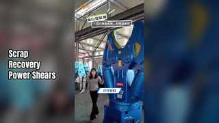 Nożyce do koparek Teyun Maksymalna wydajność Odzysk złomu